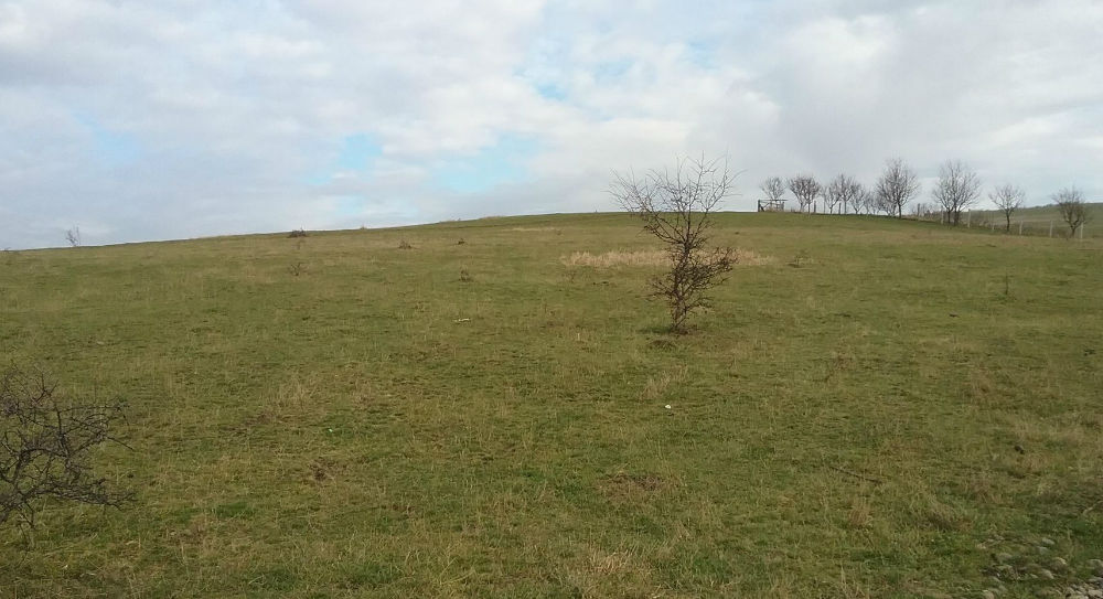 poza teren extravilan-Bistrita, Jud Bistrita-Nasaud-id 11197