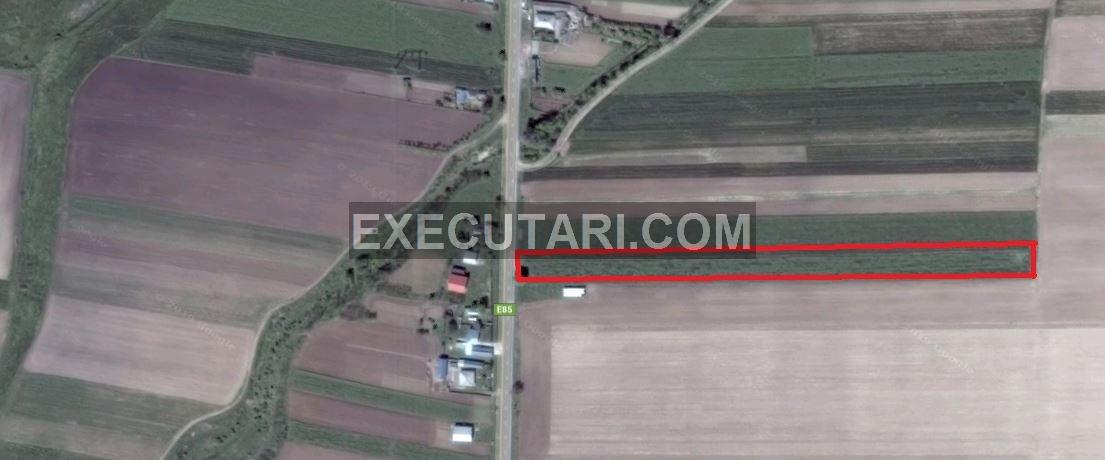 poza Teren extravilan - 5.000 m² - Hanul Ancutei